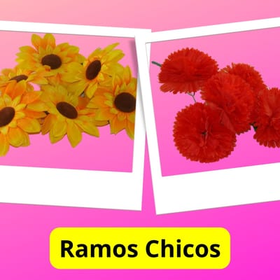 RAMOS CHICOS