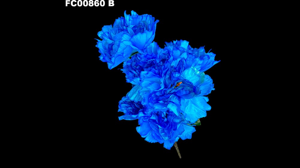 ramo peoni jumbo con 7 flores ( 73 cm) B