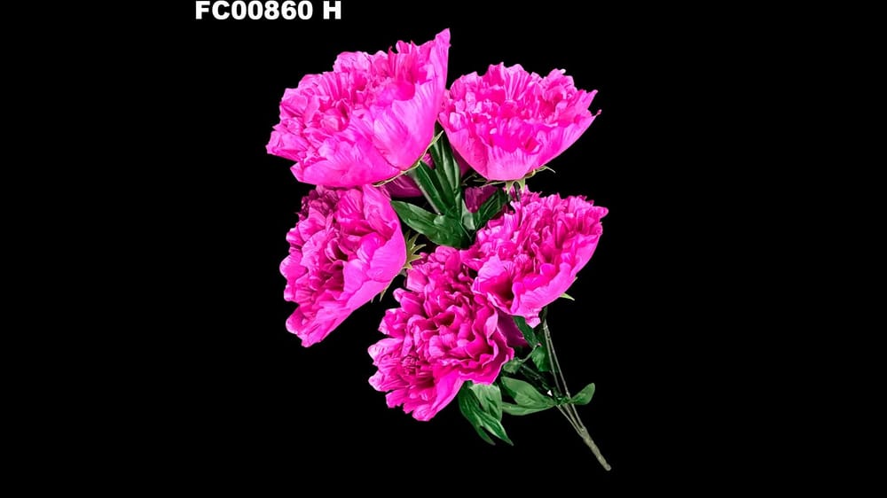 ramo peoni jumbo con 7 flores ( 73 cm) H