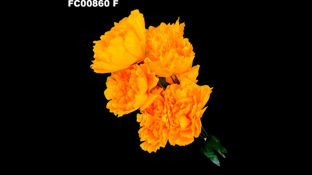 ramo peoni jumbo con 7 flores ( 73 cm) F