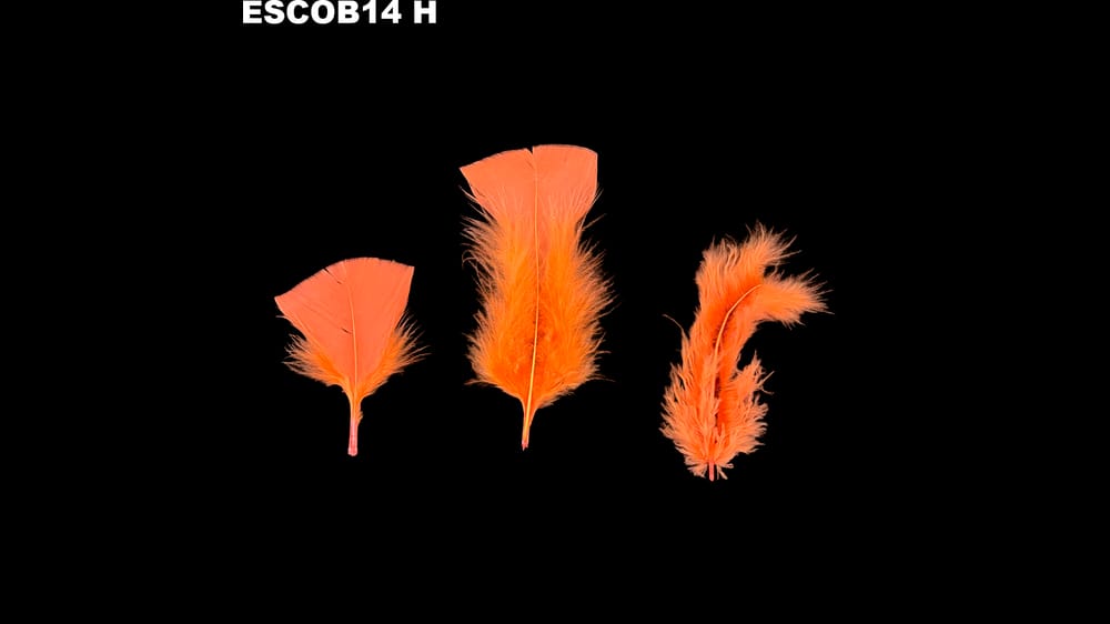 Pluma escobeta bolsa de 1/4 H