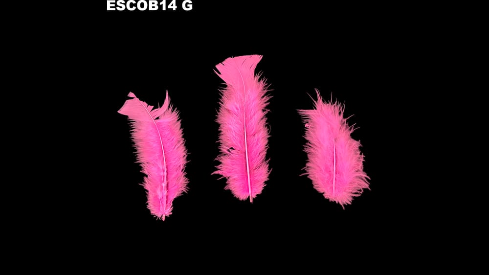 Pluma escobeta bolsa de 1/4 G