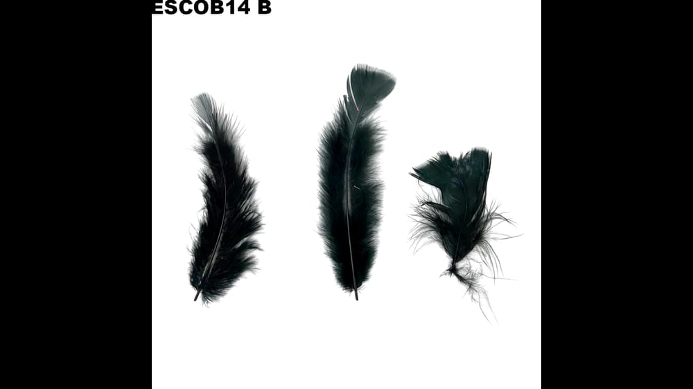 Pluma escobeta bolsa de 1/4 B