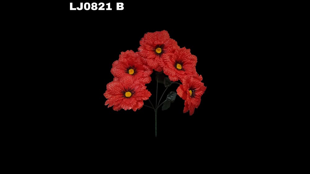 Ramo de dhalia *5 redondeada con pecas. Flor mide 16 cm B