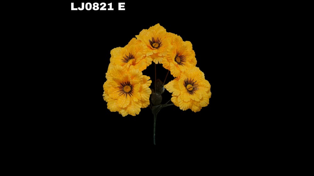 Ramo de dhalia *5 redondeada con pecas. Flor mide 16 cm E