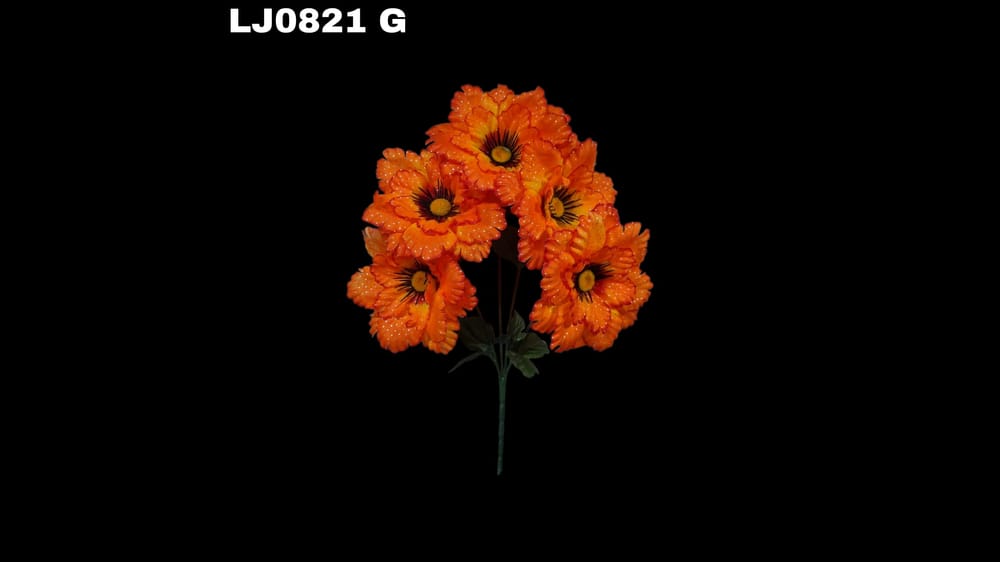 Ramo de dhalia *5 redondeada con pecas. Flor mide 16 cm G