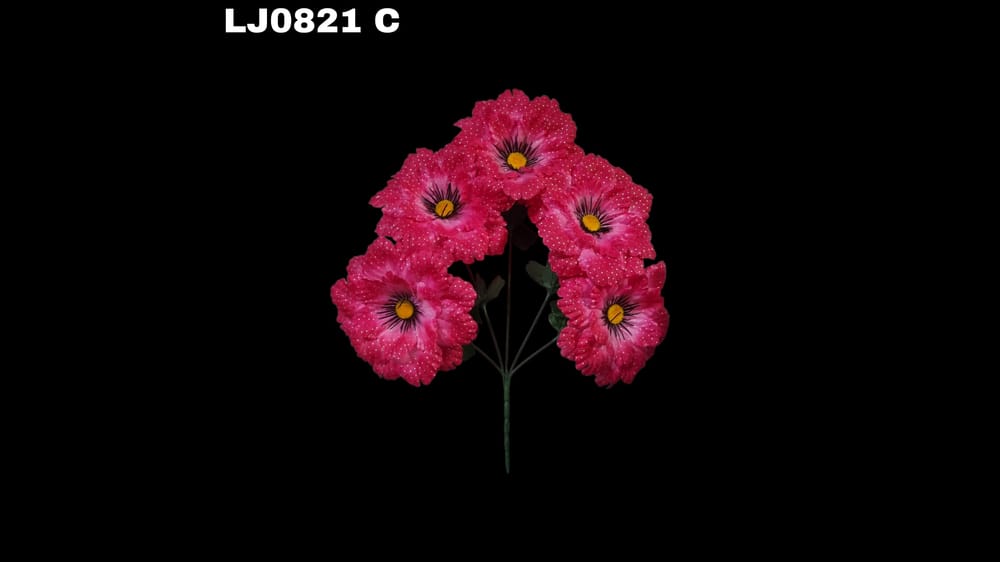 Ramo de dhalia *5 redondeada con pecas. Flor mide 16 cm C