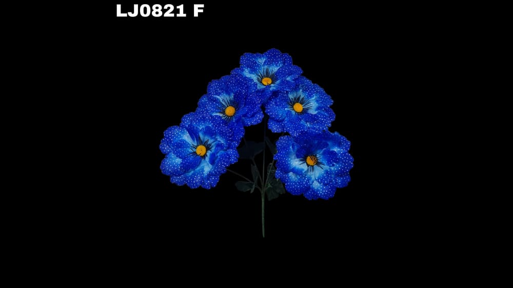 Ramo de dhalia *5 redondeada con pecas. Flor mide 16 cm F