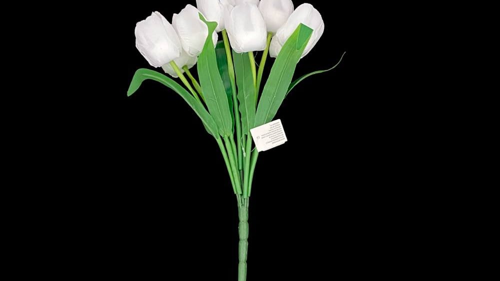 Ramo de tulipan *9 Mide 40 cm B