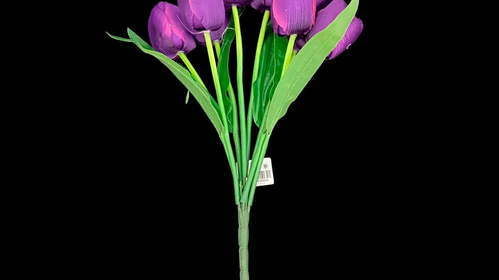 Ramo de tulipan *9 Mide 40 cm D