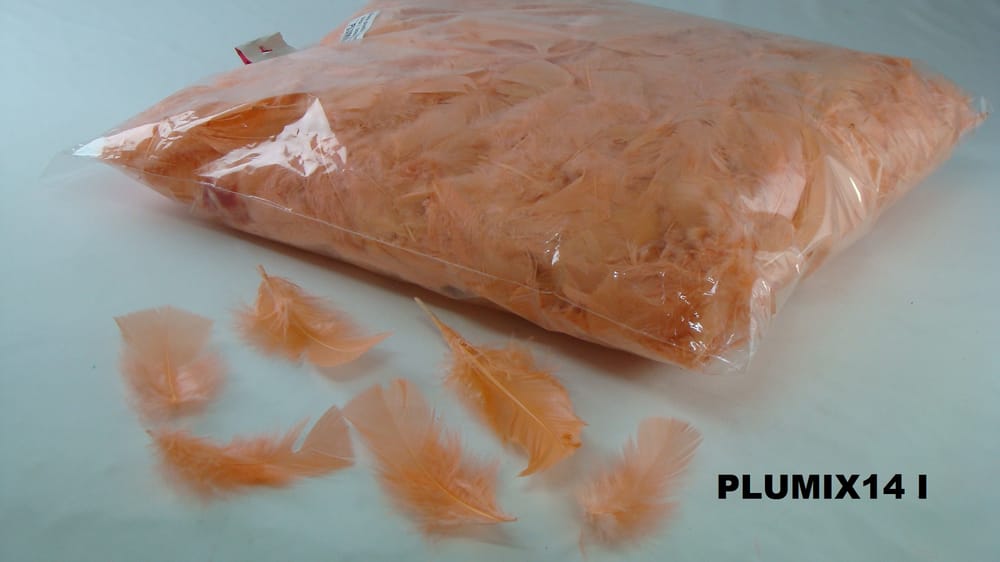 pluma plumix. ( pluma chica ) bolsa de 1/4 I