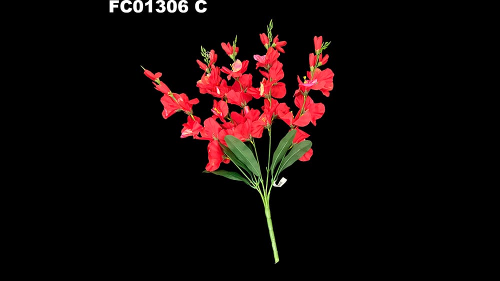 Ramo gladiola con tornasol *5 C