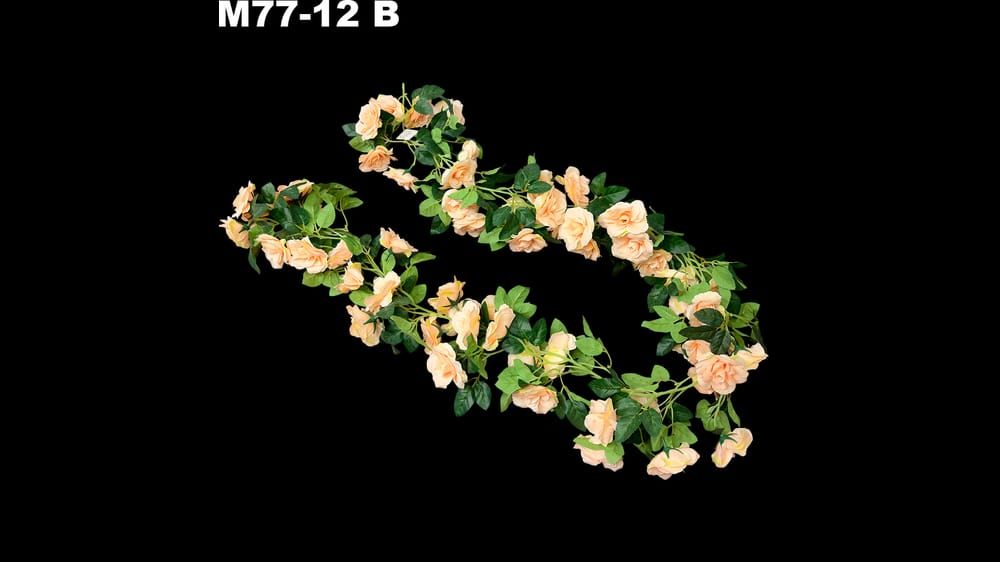 Guía de rosal fina. Mide 1.70 metros B