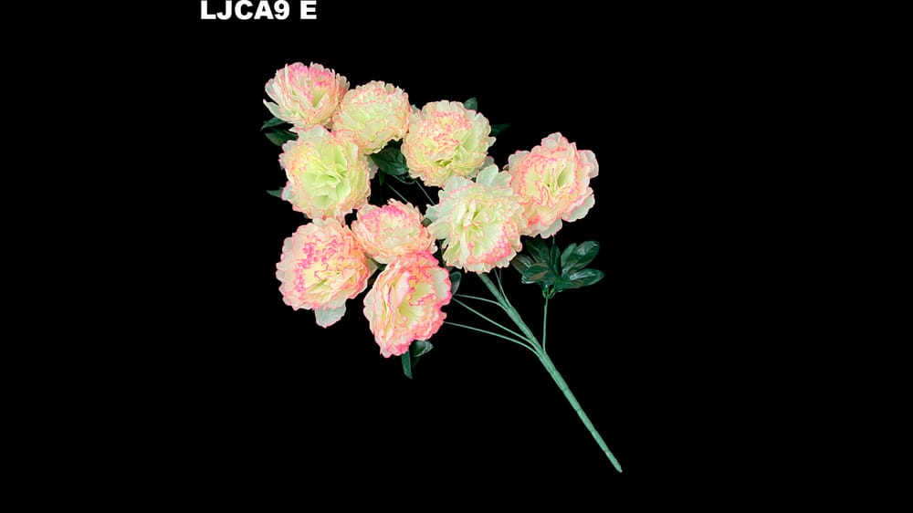 Ramo grande camelia *9. Flor mide 16 cm. Ramo 70 cm E