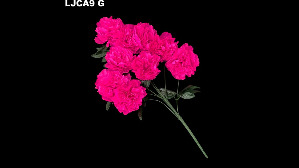 Ramo grande camelia *9. Flor mide 16 cm. Ramo 70 cm G