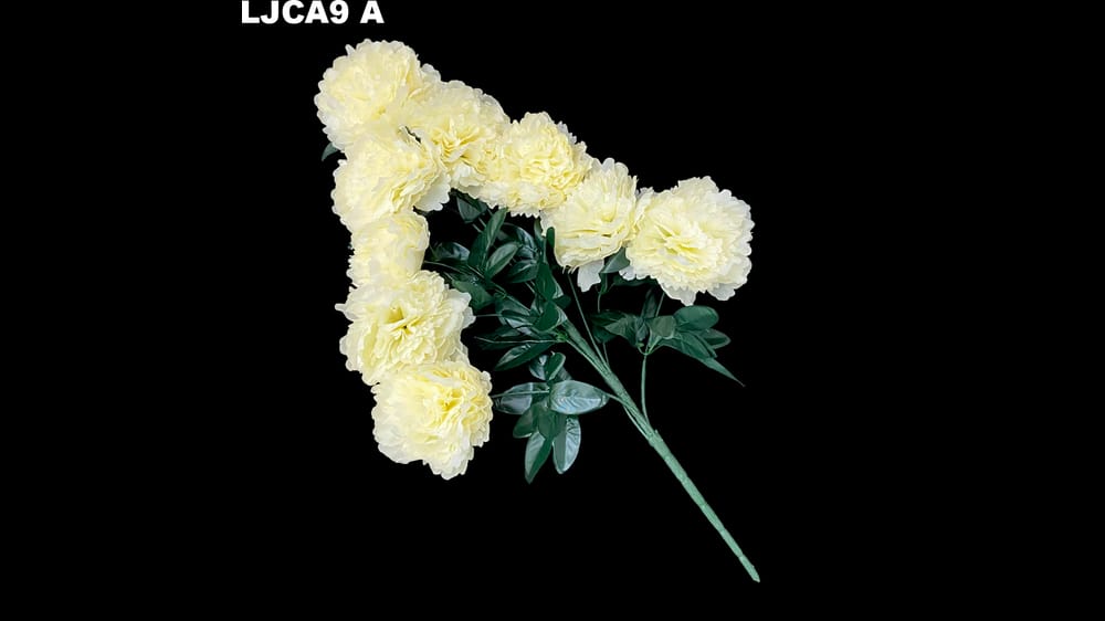 Ramo grande camelia *9. Flor mide 16 cm. Ramo 70 cm A