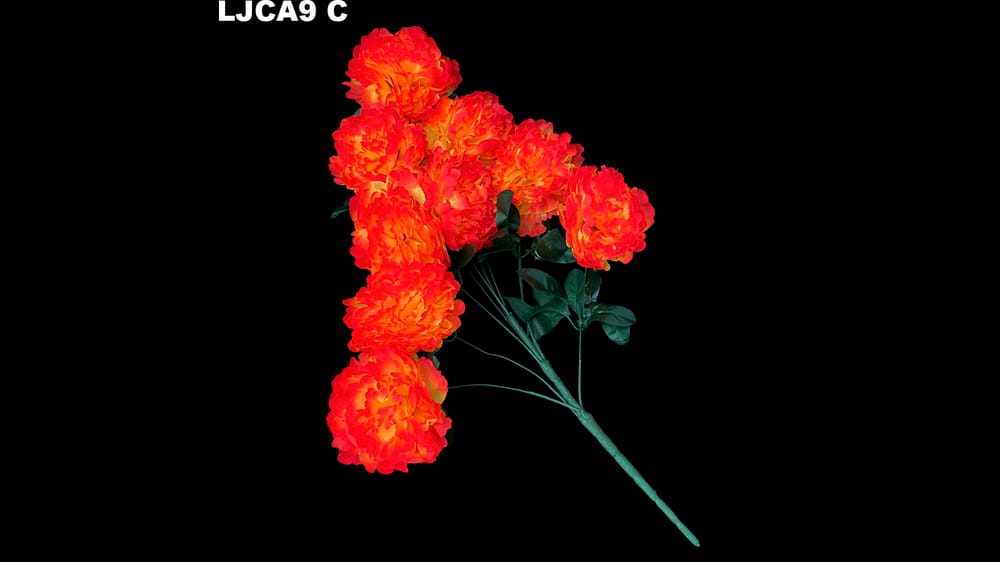 Ramo grande camelia *9. Flor mide 16 cm. Ramo 70 cm C