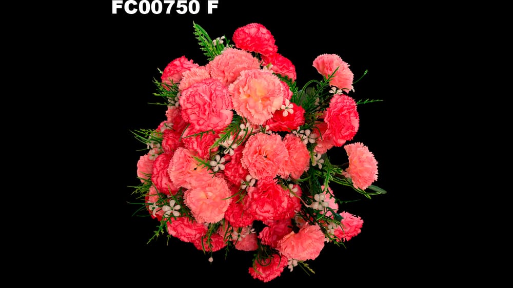 ramo jumbo de clavel * 52 F