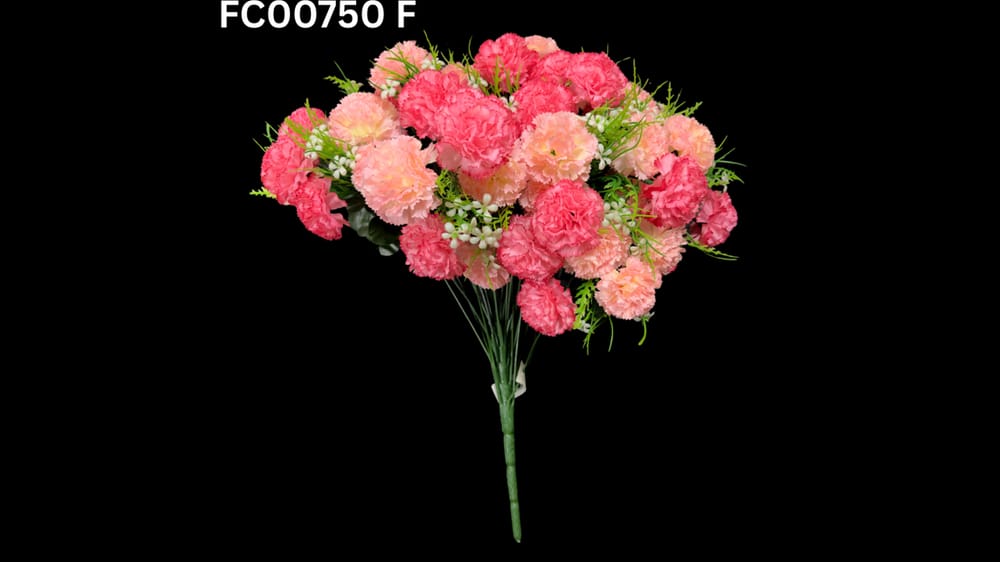 ramo jumbo de clavel * 52 F