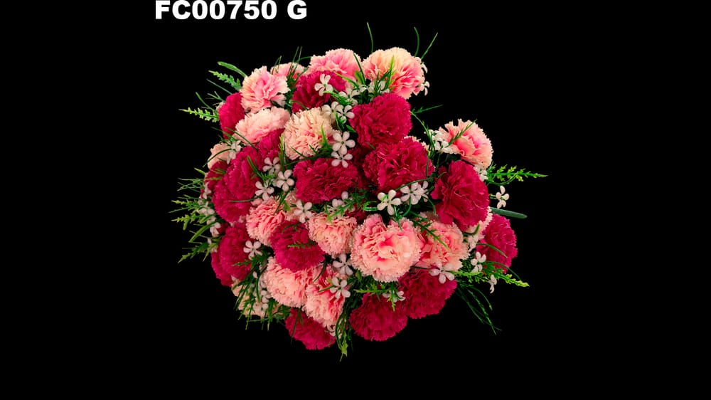 ramo jumbo de clavel * 52 G