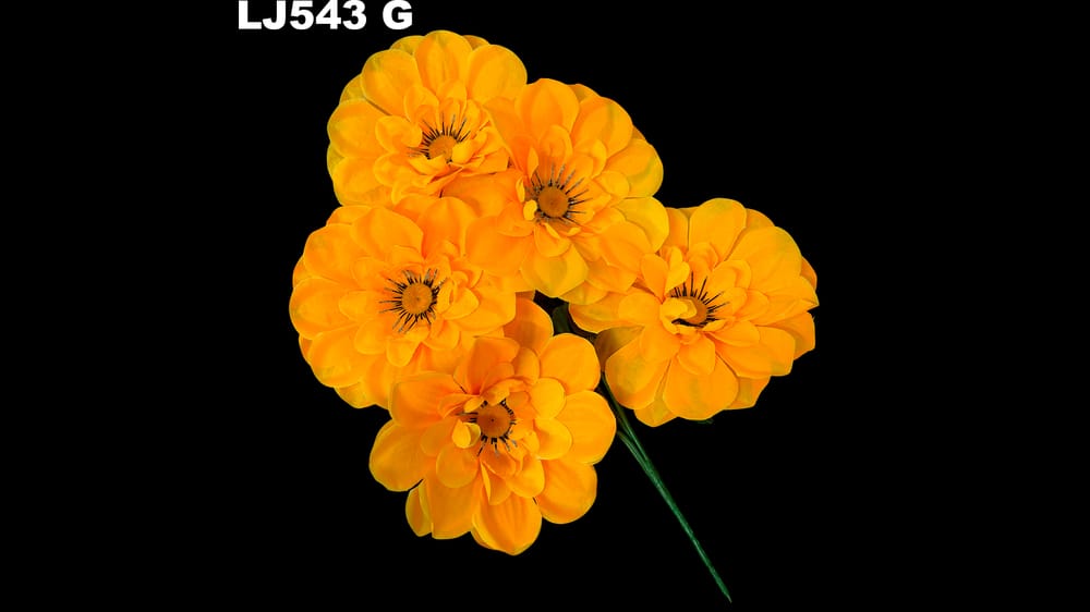 Ramo dhalia *5 centro diamantado. Flor de 15 cm G
