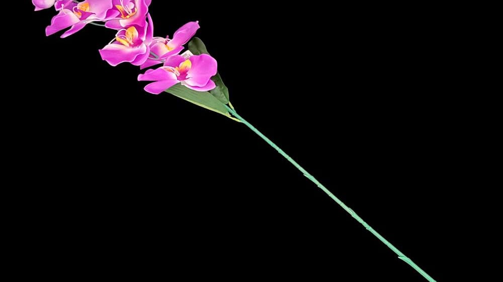 Vara de orquidea *10 Mide 90 cm E