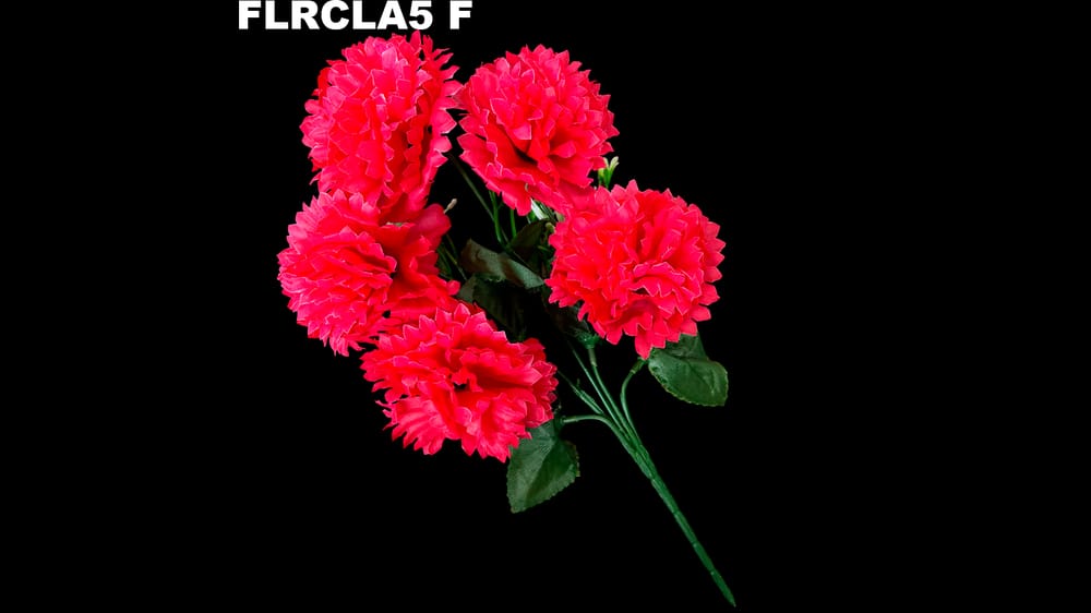 Ramito clavel *5 típico F