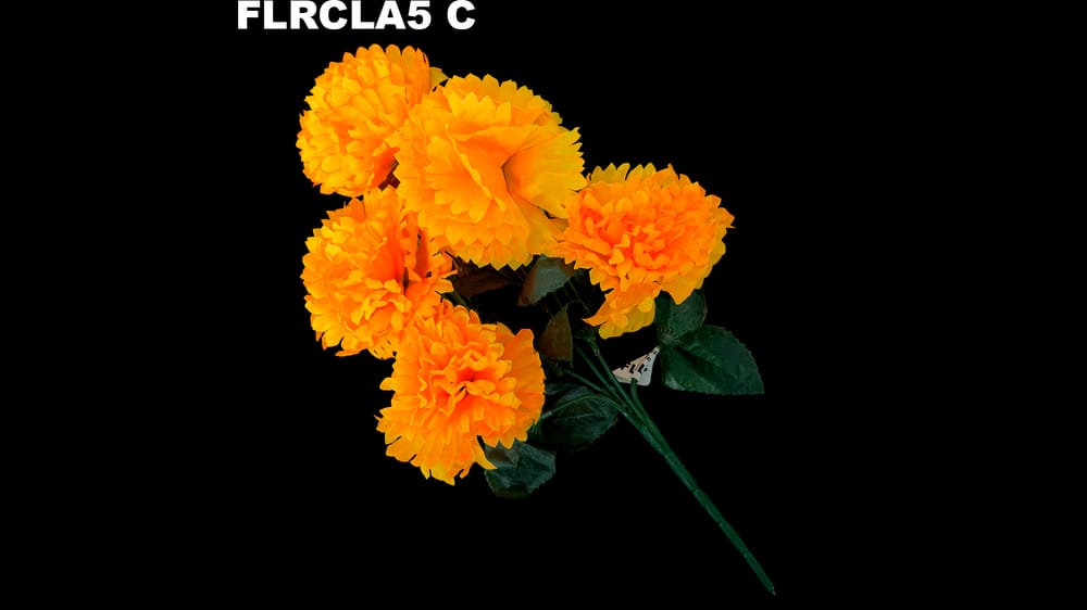 Ramito clavel *5 típico C