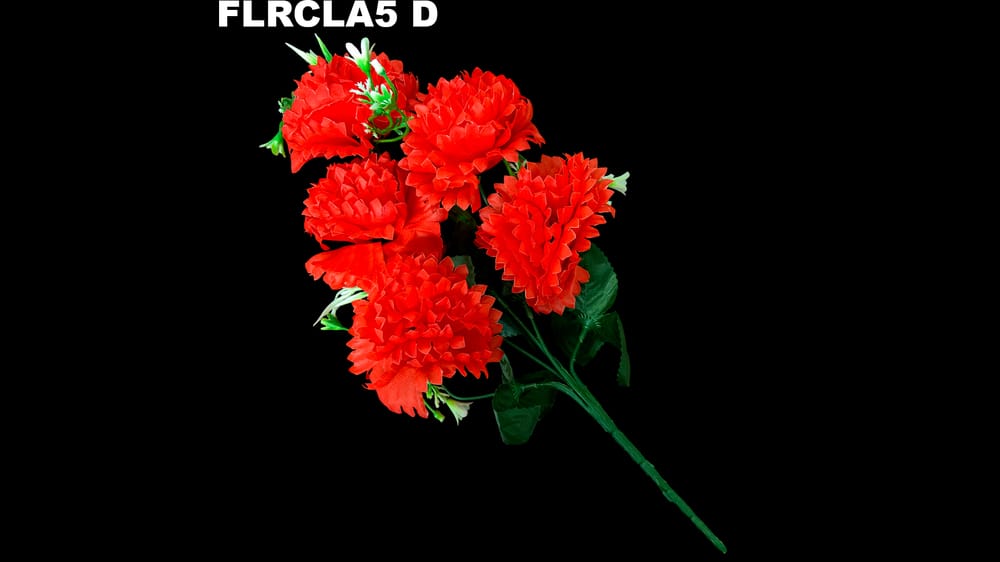 Ramito clavel *5 típico D