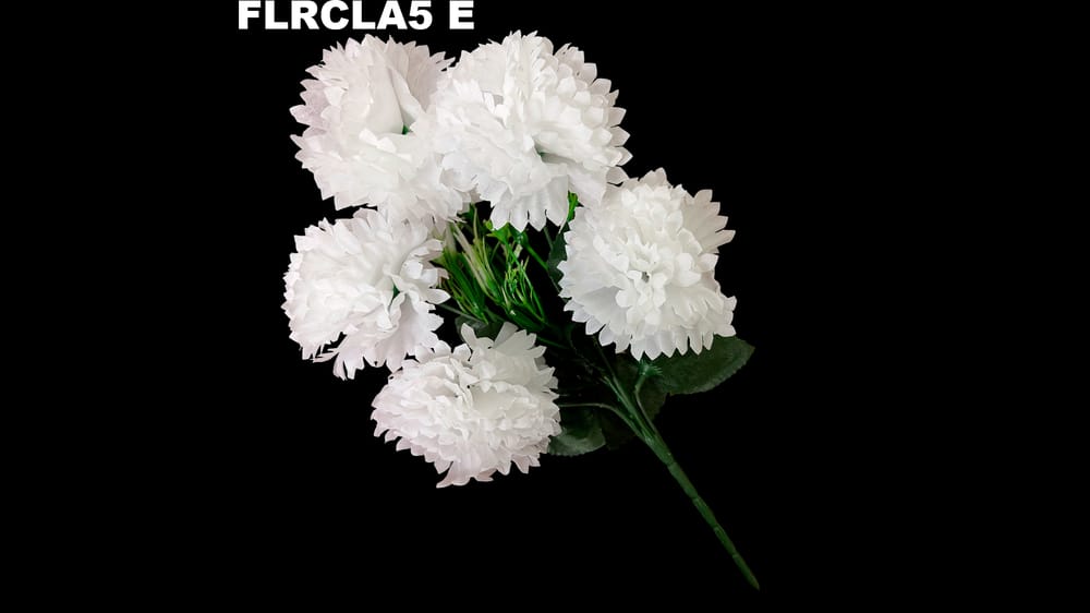 Ramito clavel *5 típico E