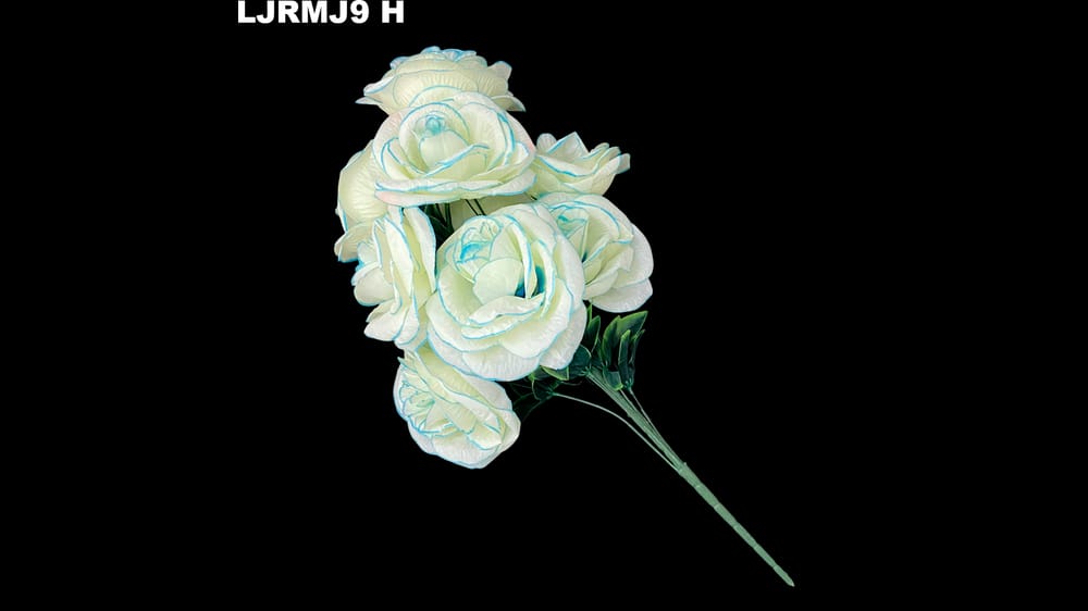 Ramo rosa mega jumbo *9 Mide 20 cm cada flor H