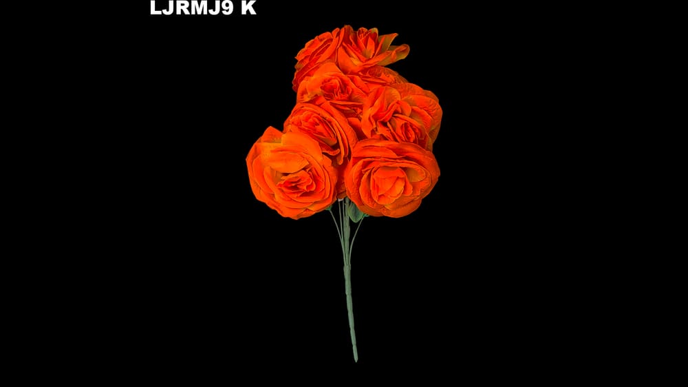Ramo rosa mega jumbo *9 Mide 20 cm cada flor K