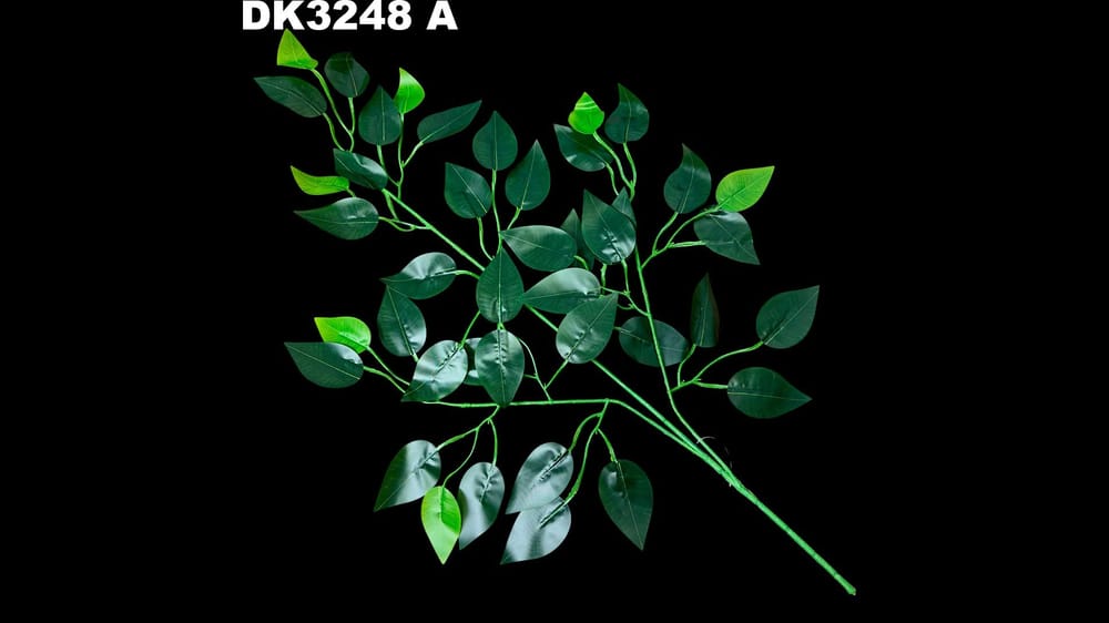 Rama ficus chico. Hoja de 6 cm DOCENA Color A