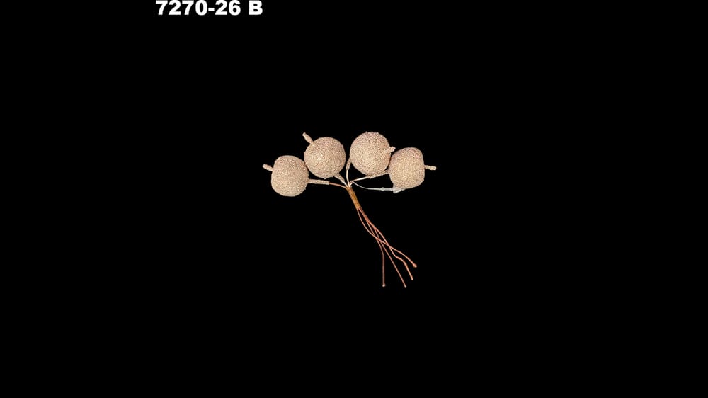 Racimo de 4 manzanas con perlina. Manzana de 2 cm B