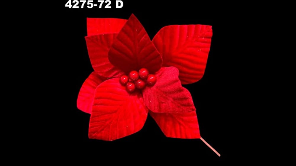 Vara nochebuena terciopelo gravada. Flor de 25 cm D