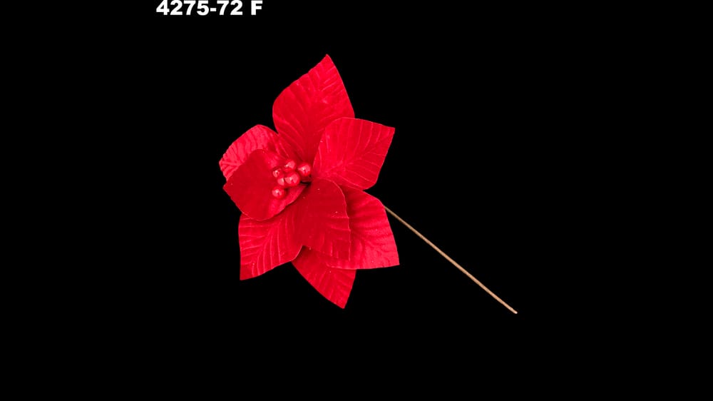 Vara nochebuena terciopelo gravada. Flor de 25 cm F