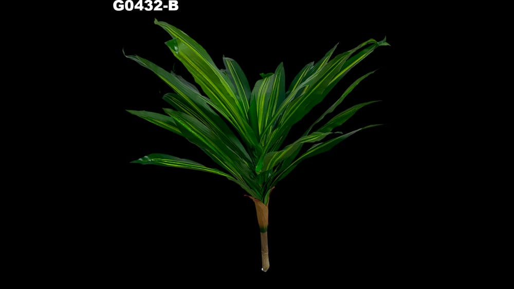 Planta árbol brasileño . Mide 90 cm 
