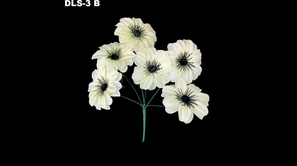 Ramito de dhalia *6 centro negro. Flor de 11 cm B