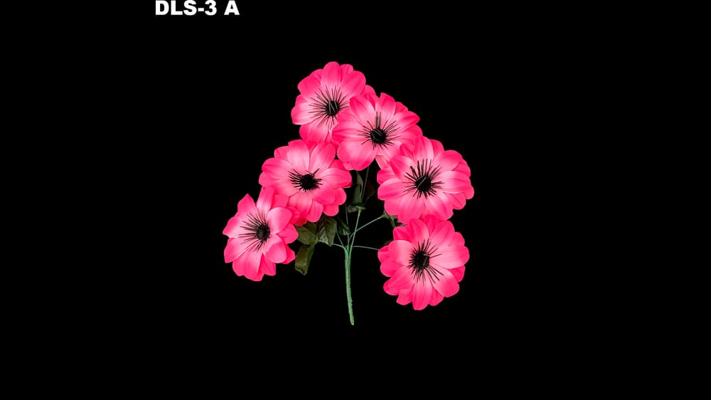 Ramito de dhalia *6 centro negro. Flor de 11 cm A