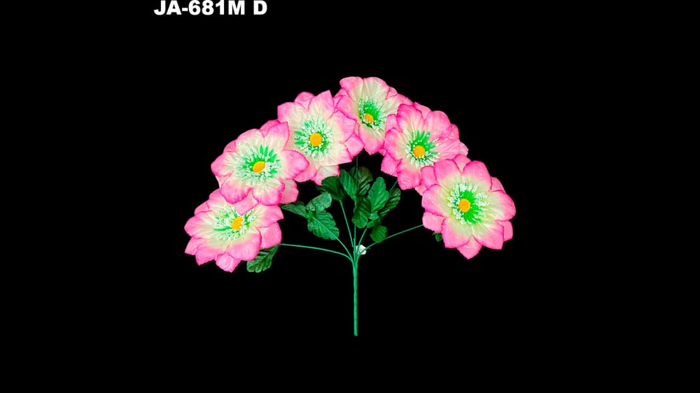 Dhalia peacock* 6 con polen y dimantina flor de 15 cm D