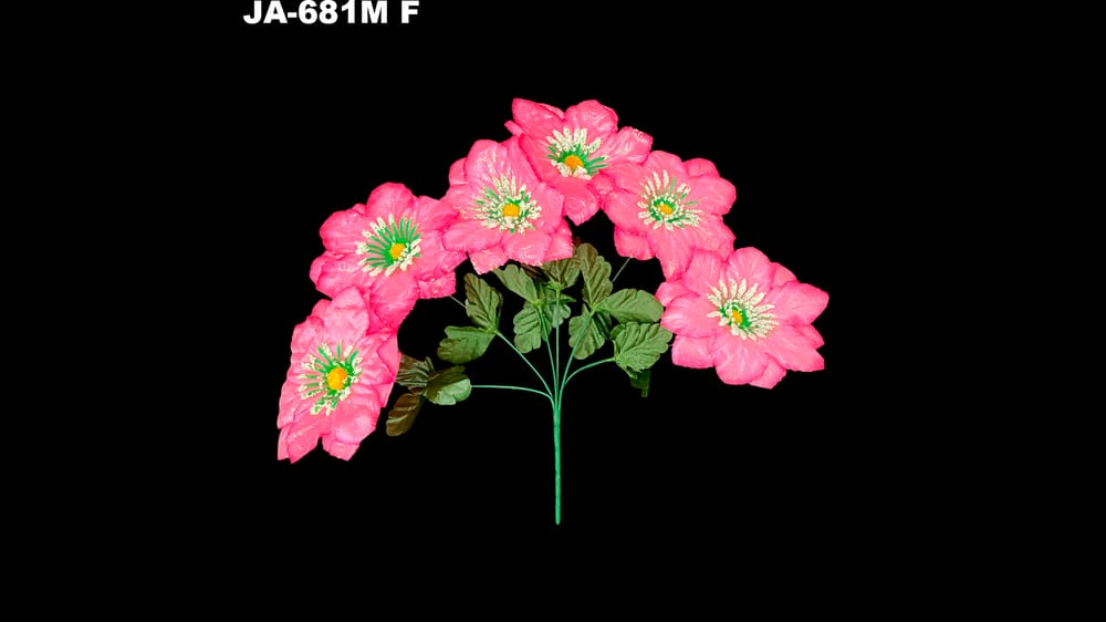 Dhalia peacock* 6 con polen y dimantina flor de 15 cm F
