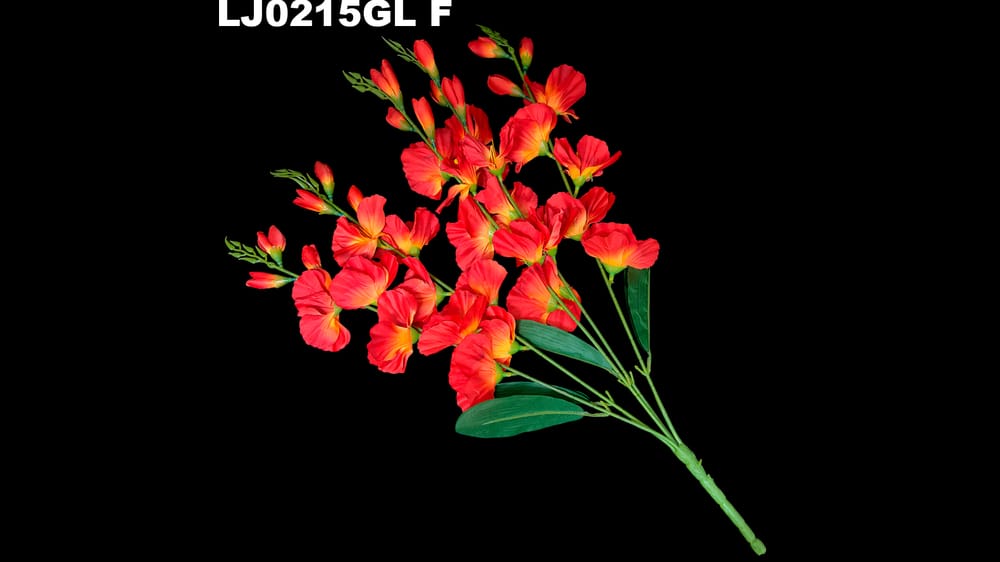 Ramo de Gladiola *5 mod. Lj Mide 60cm F
