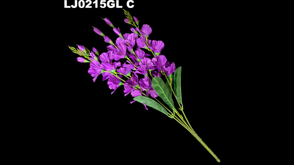 Ramo de Gladiola *5 mod. Lj Mide 60cm C
