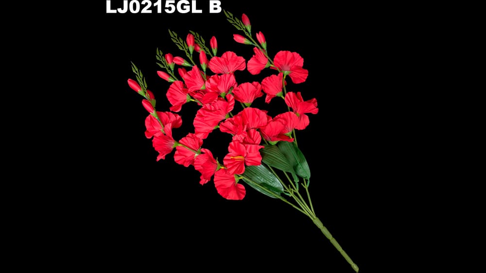 Ramo de Gladiola *5 mod. Lj Mide 60cm B
