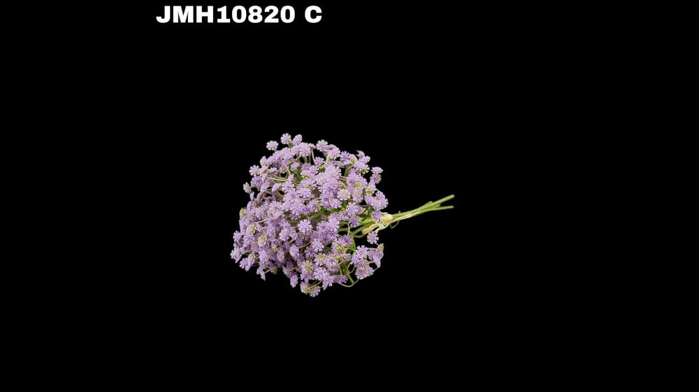 Ramito de 5 varas de florecitas mini. Mide 30 cm C