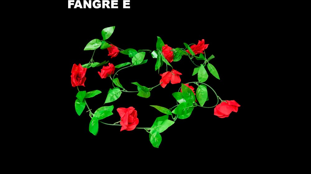 Guía de rosa mediana *9 económica. Flor de 7 cm E