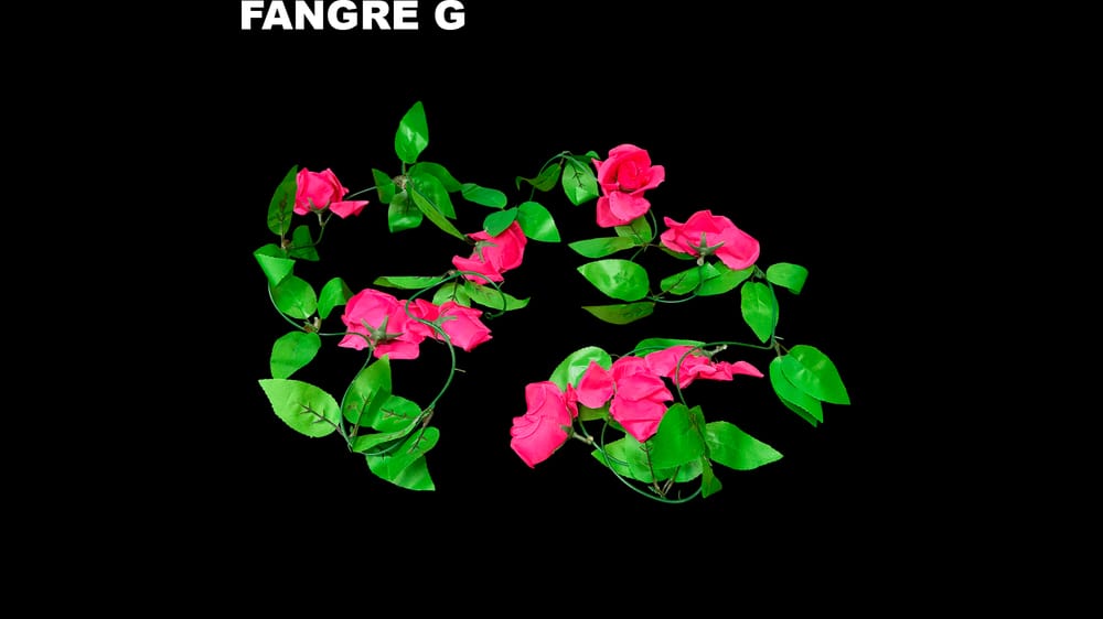 Guía de rosa mediana *9 económica. Flor de 7 cm G