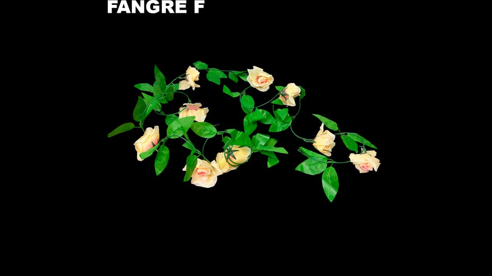 Guía de rosa mediana *9 económica. Flor de 7 cm F