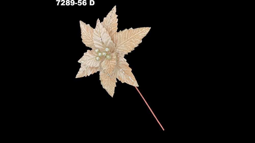 Vara nochebuena con orilla diamantada. Flor mide 30 cm D