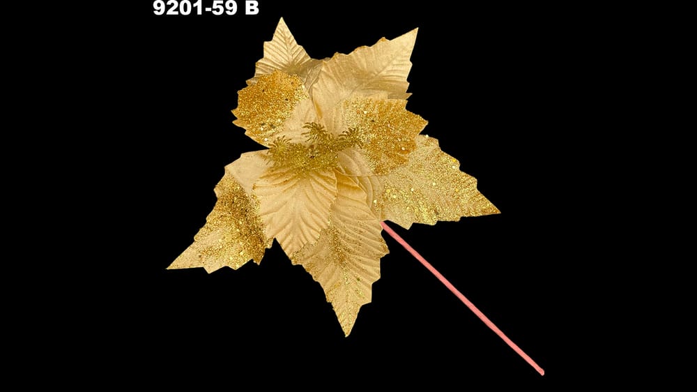 Vara nochebuena terciopelo con erizo. Flor abre 30 cm B